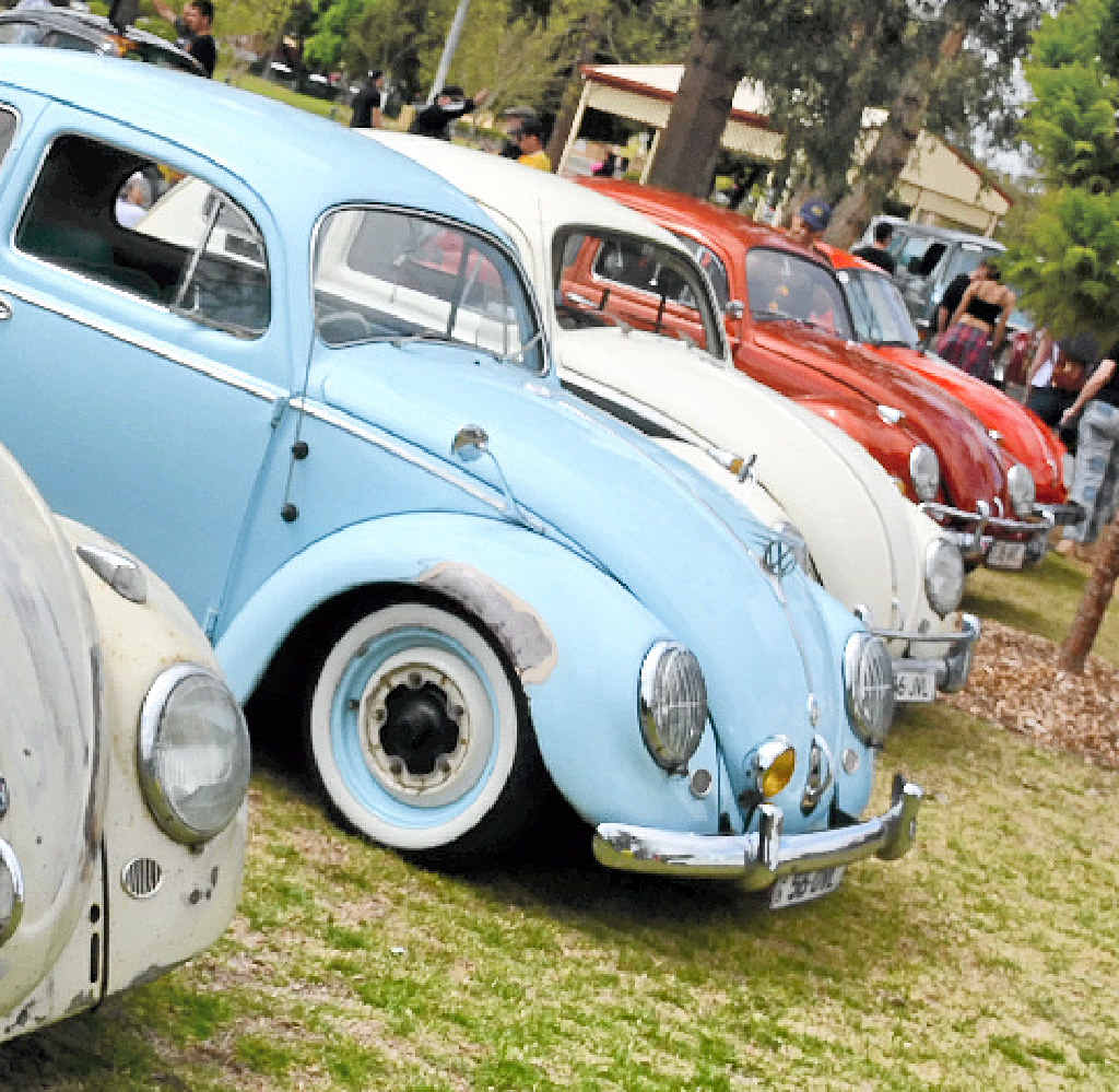 BEETLE MANIA: Volkswagen Beetles in an array of colours and models lined up in Leslie Park on Saturday.